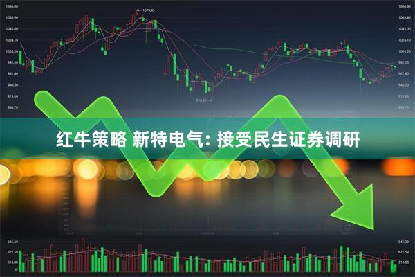 红牛策略 新特电气: 接受民生证券调研