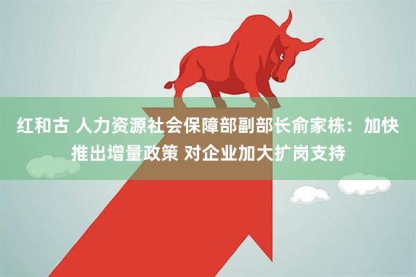 红和古 人力资源社会保障部副部长俞家栋：加快推出增量政策 对企业加大扩岗支持