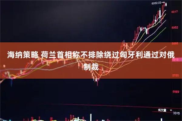 海纳策略 荷兰首相称不排除绕过匈牙利通过对俄制裁