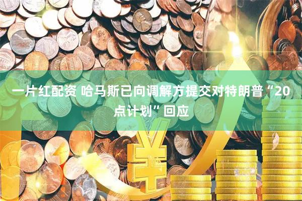 一片红配资 哈马斯已向调解方提交对特朗普“20点计划”回应