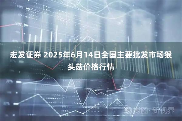 宏发证券 2025年6月14日全国主要批发市场猴头菇价格行情