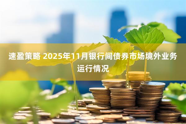 速盈策略 2025年11月银行间债券市场境外业务运行情况