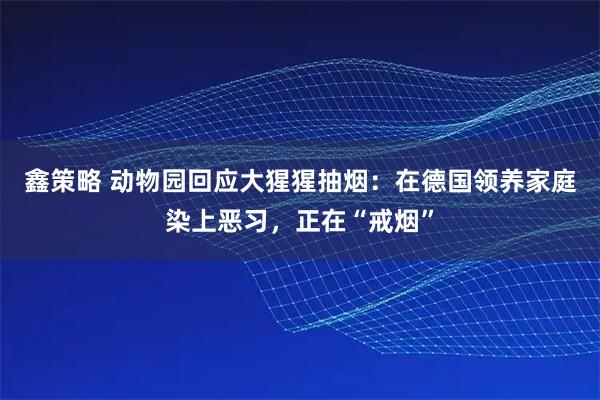 鑫策略 动物园回应大猩猩抽烟：在德国领养家庭染上恶习，正在“戒烟”